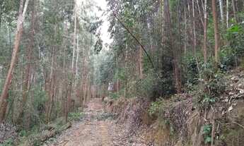 Imagem 2: Terreno para Venda em Florianópolis, Rio Vermelho