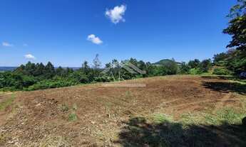 Imagem 7: Linda área com vista em topo de morro em Nova Petrópolis-RS