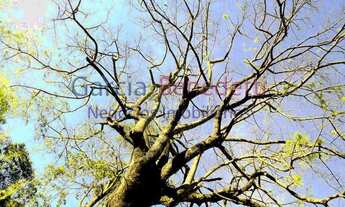 Imagem 6: Terreno em Condomínio para Venda em Cabreúva, Jacaré