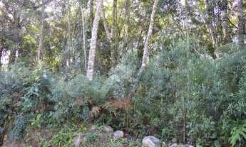 Imagem 6: GRAMADO - Terreno Padrão - Linha Avila