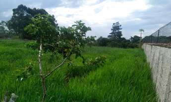 Imagem 4: Terreno de 3000mts² à venda Sarapui/SP - 105MIL