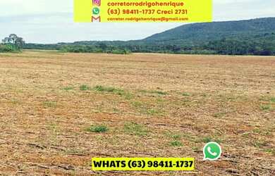 Imagem 14: Fazenda Dupla Aptidão em Lavoura Porto Nacional