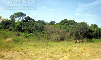 Imagem 2: Mauá - Terreno Padrão - Parque São Vicente
