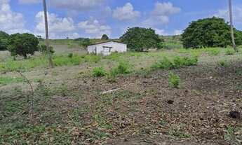 Imagem 2: Excelente Fazenda com 150 hectares na região de São Gonçalo do Amarante