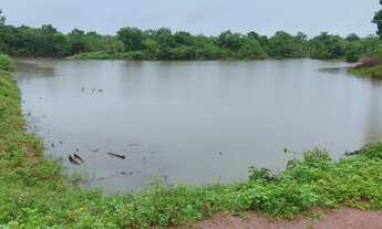 Imagem 5: Chácara próximo Gurupi