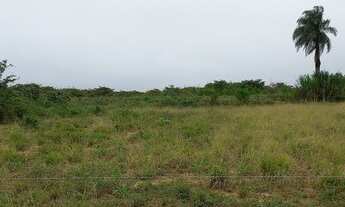 Imagem 2: Terreno na Serra Dos Paus Doias , Exu-PE