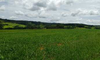 Imagem 7: FAZENDA 175 ALQ, PASTO COM APTIDÃO PARA CAFÉ OU GRÃOS - Sul de Minas Gerais