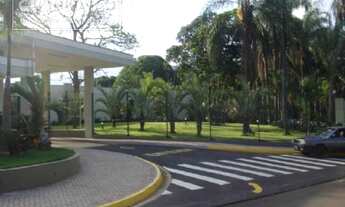 Imagem 3: Pirassununga - Terreno Padrão - Rosário