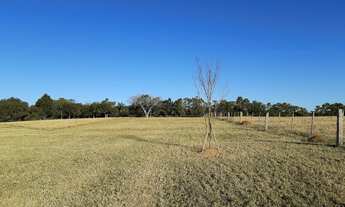 Imagem 3: Fazenda/Sítio/Chácara 5,2 hectares, açude, vista para o Guaíba em Itapuã - Viamão - RS