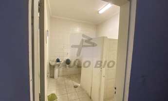 Imagem 8: SAO PAULO - Galpão/Depósito/Armazém - Vila Leopoldina