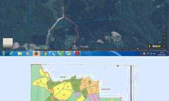 Imagem: Terreno 132 ha com Reflorestamento