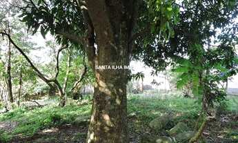 Imagem 5: FLORIANóPOLIS - Terreno Padrão - Rio Tavares