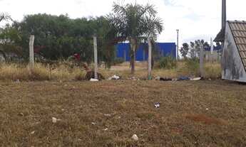 Imagem 2: Galpão Logístico e Industrial com grande pátio