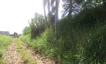 Imagem 2: Lote para Venda em Suzano, Fazenda Aya