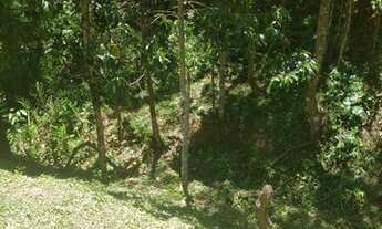 Imagem 5: Grande oportunidade de comprar seu cantinho em meio a natureza