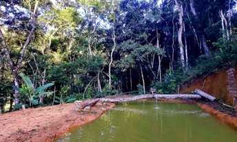 Imagem 2: Vendo sítio em Domingos Martins