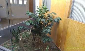 Imagem 6: Casa com piscina em Corumbataí oportunidade