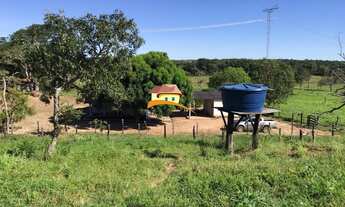 Imagem 7: Fazenda para Venda