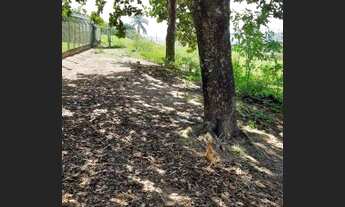 Imagem 2: Terreno à venda, 4000 m² por R$ 1.000.000 - Sapé I - Caçapava/SP