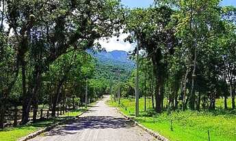 Imagem 3: Terreno em Condomínio de Chácara Venda por R$ 150.000 - América de Cima - Morretes/PR
