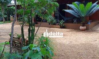 Imagem 5: Chácara com 3 dormitórios à venda, 1500 m² por R$ 630.000,00 - Parque Das Andorinhas - Ube