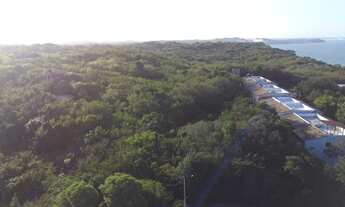 Imagem 2: TERRENO COM VISTA MAR