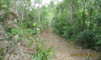 Imagem 7: Sitio 5 alqueires Piedade sp