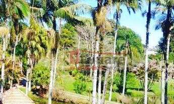 Imagem 3: Sítio rural à venda, Quatinga, Mogi das Cruzes