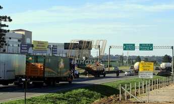 Imagem 7: SÃO JOSÉ DOS PINHAIS - Terreno Padrão - Roseira