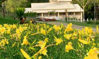 Imagem: ESPETACULAR FAZENDA 5 QUARTOS EM PASSA TEMPO