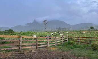 Imagem: Lote na região do baruana