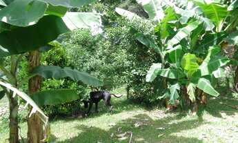 Imagem 6: Linda Chácara completa com tudo!