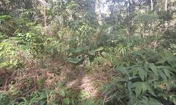 Imagem 3: Lote/Terreno para venda Terreno com água próximo a linda cachoeira Área de 5.000.00