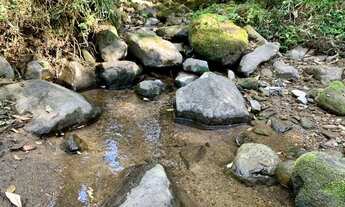 Imagem 4: Sítio em Urubici/ Terrenos em Urubici