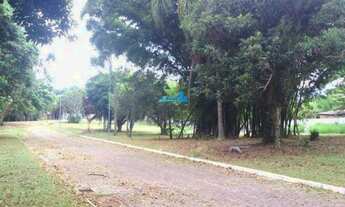 Imagem 7: Florianópolis - Terreno Padrão - Ratones