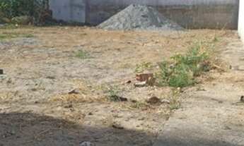 Imagem 6: Lote no parque olimpico