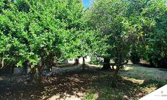 Imagem 6: Lote / Terreno em Vila Aparecida - Taubaté