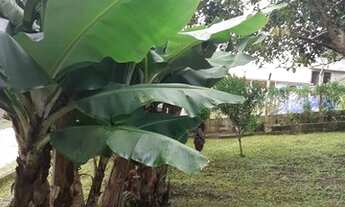 Imagem 2: Chácara com ótima casa sede 4.303,69 m2