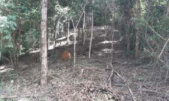 Imagem 4: Vespasiano - Loteamento/Condomínio - Bernardo De Souza