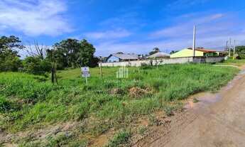 Imagem 2: Lote com 288m², face norte no Balneário Palmeiras