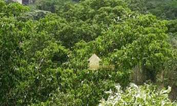 Imagem 3: Apartamento com 2 dormitórios à venda, 58 m² por R$ 150.000,00 - Despraiado - Cuiabá/MT