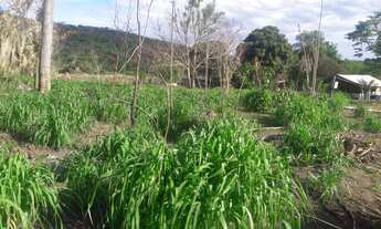 Imagem 4: Sítio chácara Chácara com venda por R$160.000