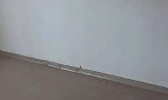 Imagem 6: Alugo ap 2 dormitórios