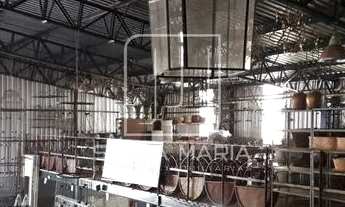 Imagem 4: Salão/Galpão (salão - térreo