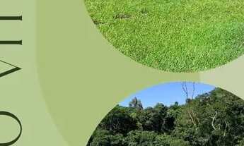 Imagem 5: LL-Vendo terreno com entrada negociável