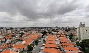 Imagem 6: Apartamento para Aluguel - Jabaquara, 3 Quartos, 187 m2