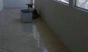 Imagem 3: Casa com 7 dormitórios à venda, 360 m² por R$ 695.000,00 - Vila Nova - Vila Velha/ES