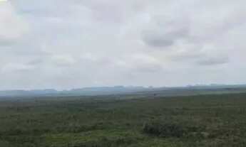 Imagem 7: FAZENDA À VENDA EM RECURSOLÂNDIA - TO - 2.178 HECTARES (DUPLA APTIDÃO