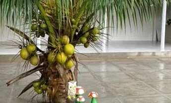 Imagem 2: Vendo espaço para eventos pronto pra ganhar dinheiro com aluguel