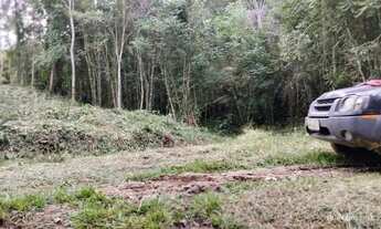 Imagem 3: Excelente terreno para sítio ou investimento